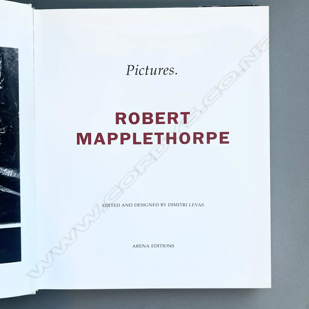 ROBERT MAPPLETHORPE: PICTURES Image 1++